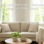 Friss levegőt árasztó tiszta nappali nyitott ablakokkal és szobanövényekkel